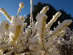 清水寺(栃木県)