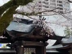 宇都宮二荒山神社(栃木県)