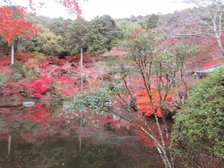 醍醐寺(上醍醐)(京都府)