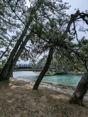 天橋立神社の{uncategorized: "未分類", other: "その他", undefined: "問題あり", building: "その他建物", grave: "お墓", sacred_gate: "鳥居", guardian: "狛犬", statue: "像", buddha: "仏像", history: "歴史", nature: "自然", garden: "庭園", animal: "動物", pagoda: "塔", temizu: "手水舎", mountain_gate: "山門・神門", sanctuary: "本殿・本堂", subordinate: "末社・摂社", art: "芸術", scenery: "景色", jizo: "地蔵", ema: "絵馬", goshuin: "御朱印", omikuji: "おみくじ", items: "授与品その他", amulet: "お守り", goshuincho: "御朱印帳", eats: "食事", festival: "お祭り", votive_dance: "神楽", shichigosan: "七五三参", wedding: "結婚式", experience: "体験その他", initially: "初詣", around: "周辺", anti_infection: "感染症対策"}