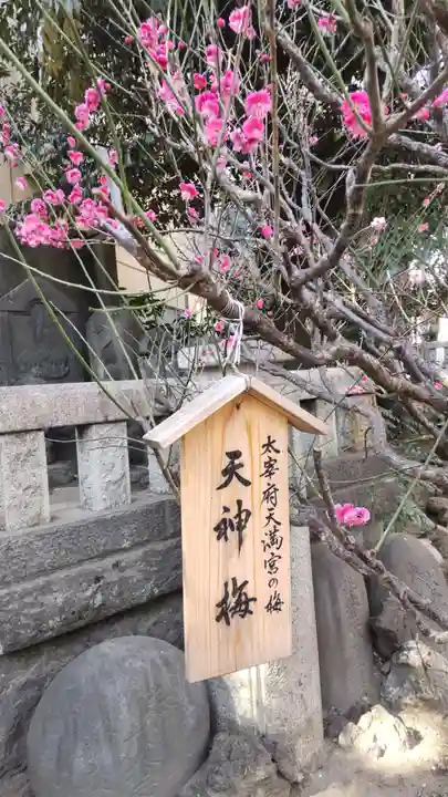 小野照崎神社の自然
