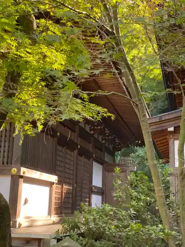 高幡不動尊　金剛寺(東京都)