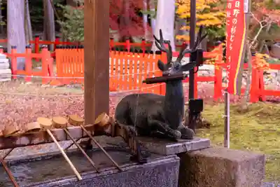 大原野神社(京都府)