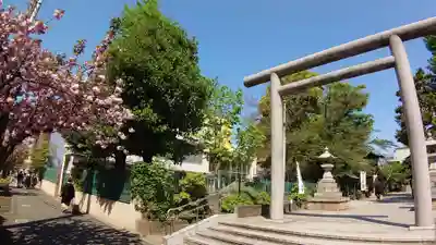 桜神宮の鳥居