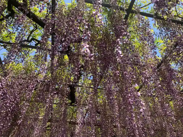 曼陀羅寺の庭園