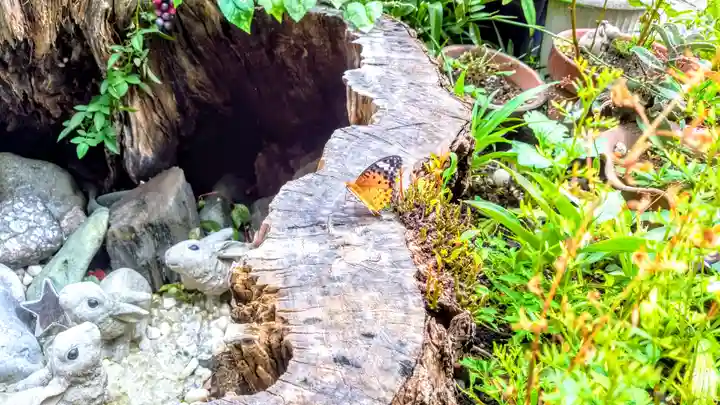三輪神社の動物