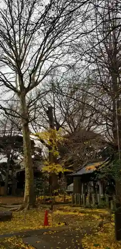 諏方神社のその他建物