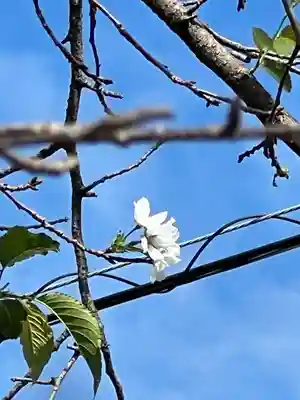 加佐美神社(岐阜県)