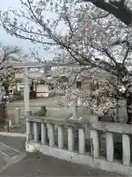 東八幡神社(東京都)