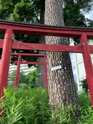 桜満観音(東京都)