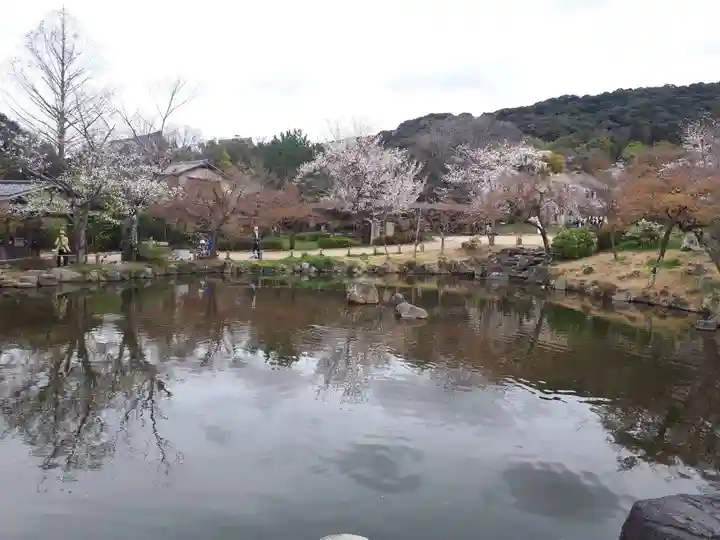 八坂神社(祇園さん)(京都府)