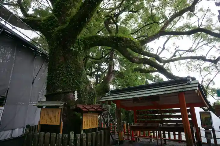 熊野那智大社の自然
