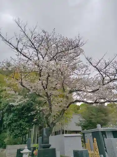 命徳寺(神奈川県)