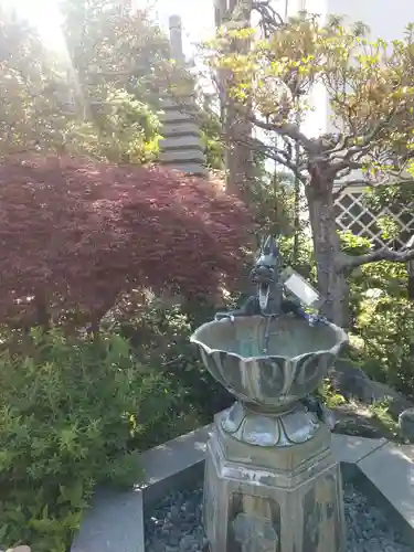 成就院の手水舎