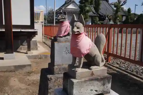 普賢願生稲荷神社の狛犬