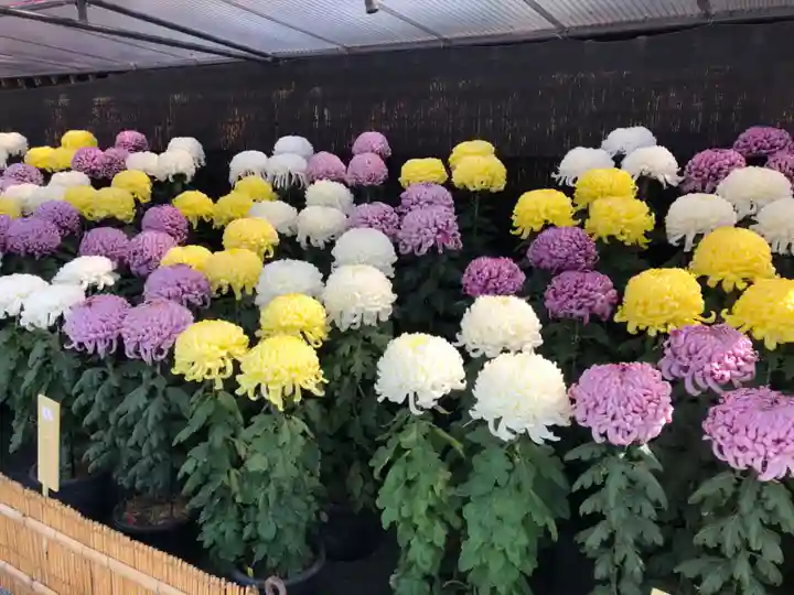 宗像大社の自然