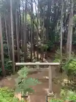 琴平神社の鳥居