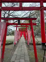 於菊稲荷神社の鳥居