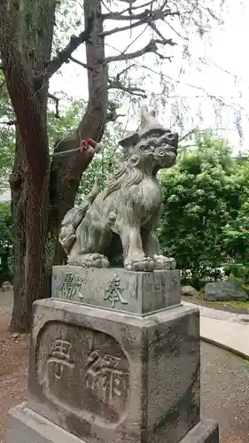 青山熊野神社の狛犬