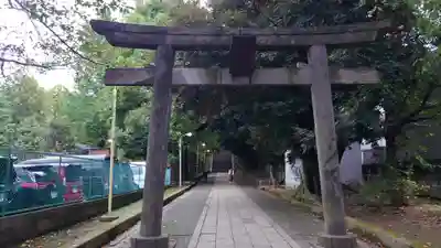 渋谷氷川神社の鳥居