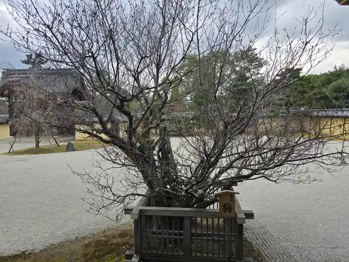 大覚寺(京都府)