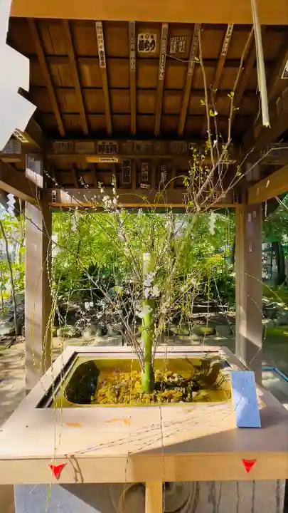 赤坂氷川神社の手水舎