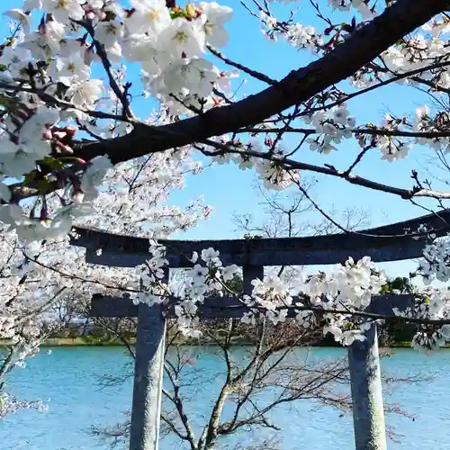 大覚寺の鳥居