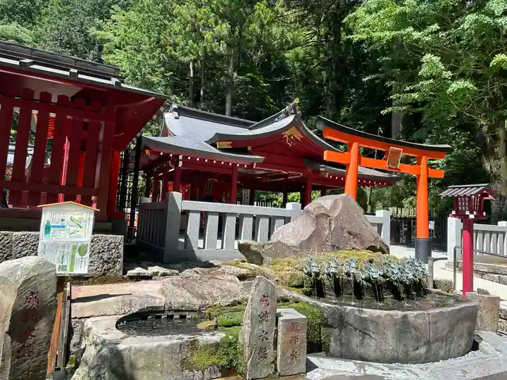 九頭龍神社新宮(神奈川県)