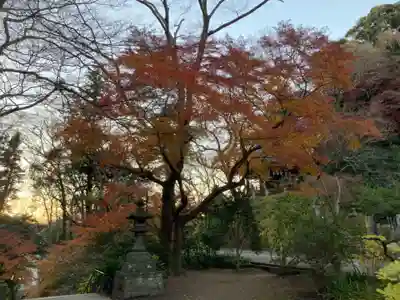 妙本寺(神奈川県)