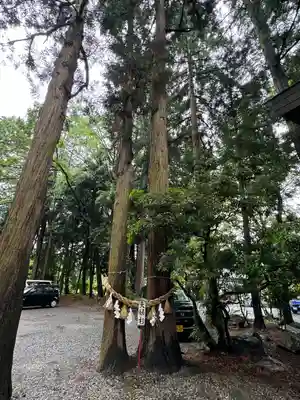 駒形神社(岩手県)