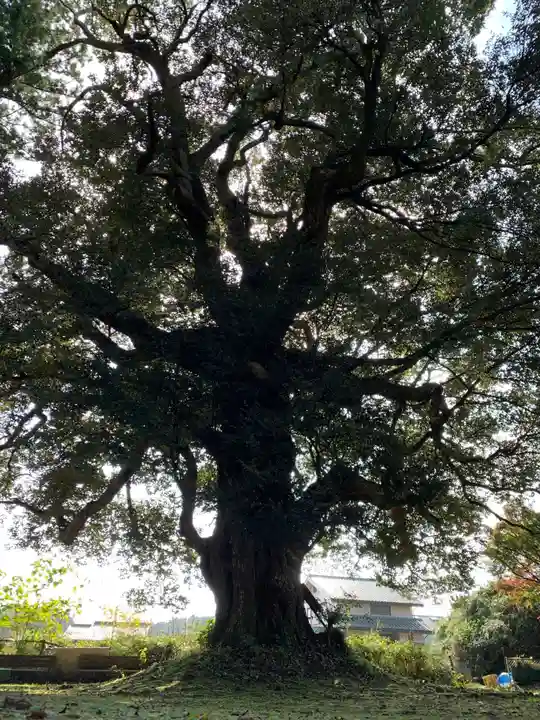 蓑毛神社の自然