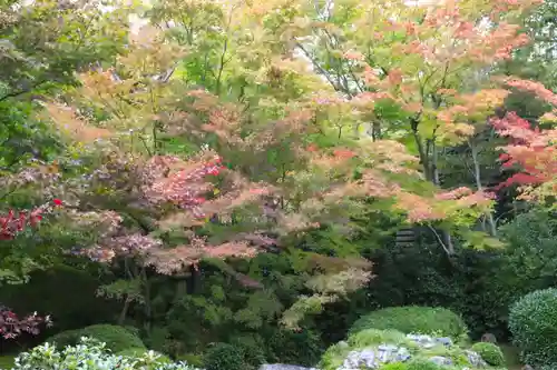 源光庵(京都府)