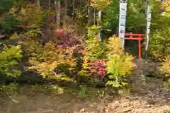 電源神社(新潟県)