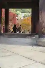 南禅寺の建物その他