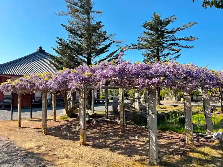 浄土寺(兵庫県)