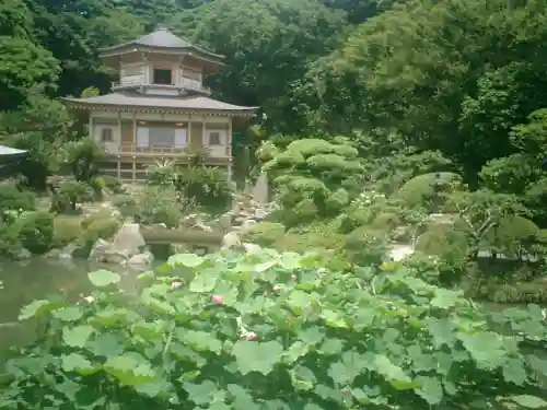 光明寺の本殿・本堂