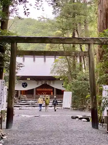 椿大神社の鳥居