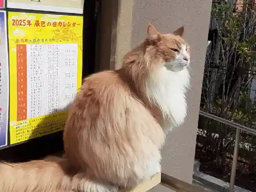駒込妙義神社(東京都)