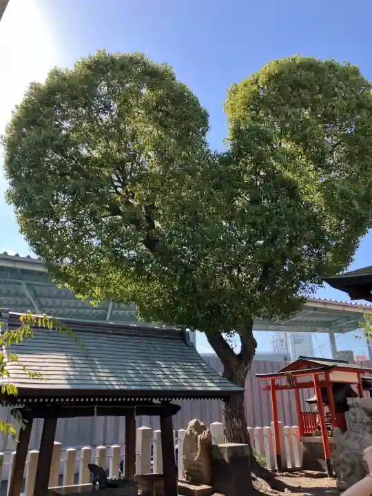 南宮宇佐八幡神社(脇浜神社)(兵庫県)
