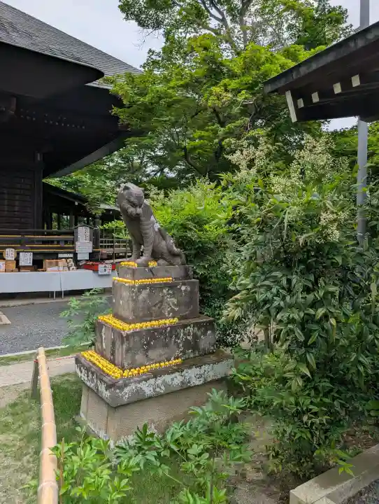 多聞院の{uncategorized: "未分類", other: "その他", undefined: "問題あり", building: "その他建物", grave: "お墓", sacred_gate: "鳥居", guardian: "狛犬", statue: "像", buddha: "仏像", history: "歴史", nature: "自然", garden: "庭園", animal: "動物", pagoda: "塔", temizu: "手水舎", mountain_gate: "山門・神門", sanctuary: "本殿・本堂", subordinate: "末社・摂社", art: "芸術", scenery: "景色", jizo: "地蔵", ema: "絵馬", goshuin: "御朱印", omikuji: "おみくじ", items: "授与品その他", amulet: "お守り", goshuincho: "御朱印帳", eats: "食事", festival: "お祭り", votive_dance: "神楽", shichigosan: "七五三参", wedding: "結婚式", experience: "体験その他", initially: "初詣", around: "周辺", anti_infection: "感染症対策"}