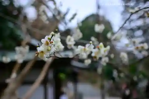 永谷天満宮(神奈川県)
