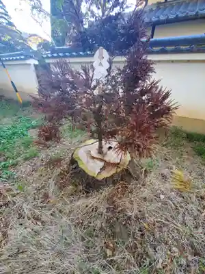 頤氣神社(長野県)