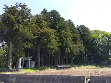 白山神社の{uncategorized: "未分類", other: "その他", undefined: "問題あり", building: "その他建物", grave: "お墓", sacred_gate: "鳥居", guardian: "狛犬", statue: "像", buddha: "仏像", history: "歴史", nature: "自然", garden: "庭園", animal: "動物", pagoda: "塔", temizu: "手水舎", mountain_gate: "山門・神門", sanctuary: "本殿・本堂", subordinate: "末社・摂社", art: "芸術", scenery: "景色", jizo: "地蔵", ema: "絵馬", goshuin: "御朱印", omikuji: "おみくじ", items: "授与品その他", amulet: "お守り", goshuincho: "御朱印帳", eats: "食事", festival: "お祭り", votive_dance: "神楽", shichigosan: "七五三参", wedding: "結婚式", experience: "体験その他", initially: "初詣", around: "周辺", anti_infection: "感染症対策"}