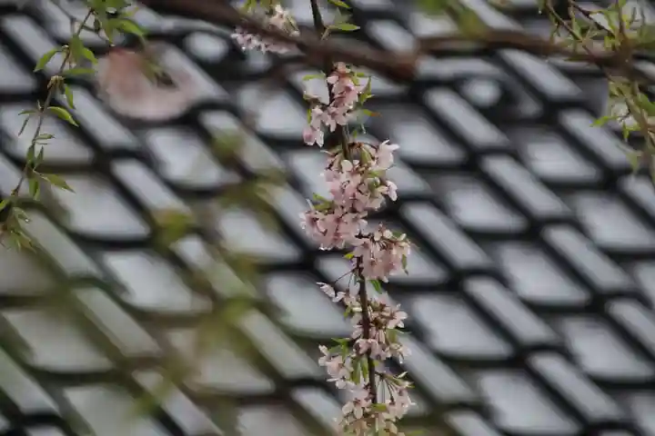 豊景神社の景色