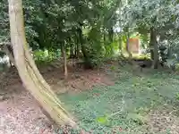 神明社(高之宮神明社)の自然