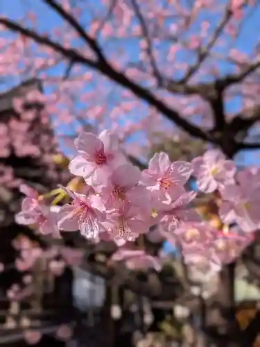 新宿下落合氷川神社(東京都)