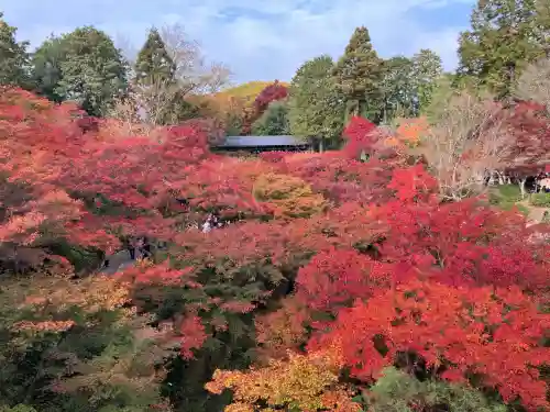 東福禅寺（東福寺）(京都府)