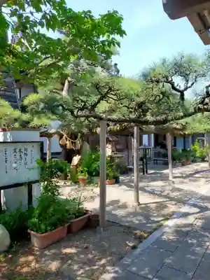 妙典寺(三重県)