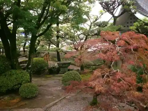 桜井寺の建物その他