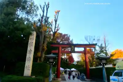 根津神社(東京都)